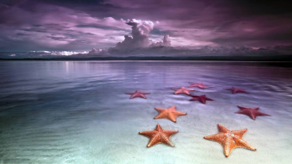 Starfish